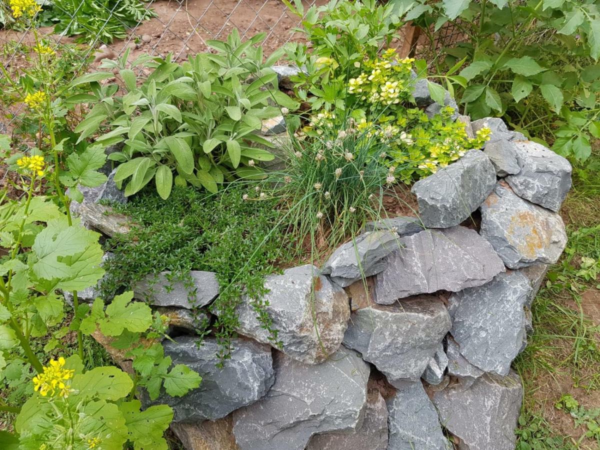 Ferienhaus Kruk Hergarten Bagian luar foto